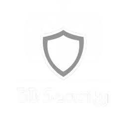 BD Security remake